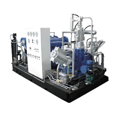 CNG Standard Station Kompressori